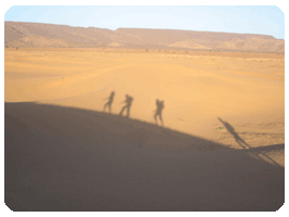 Grupo caminando en el desierto